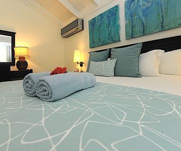 BLUE JACKTAR – PUERTO PLATA