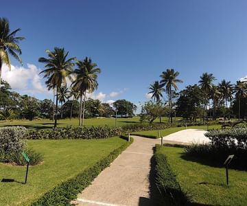 BLUE JACKTAR – PUERTO PLATA